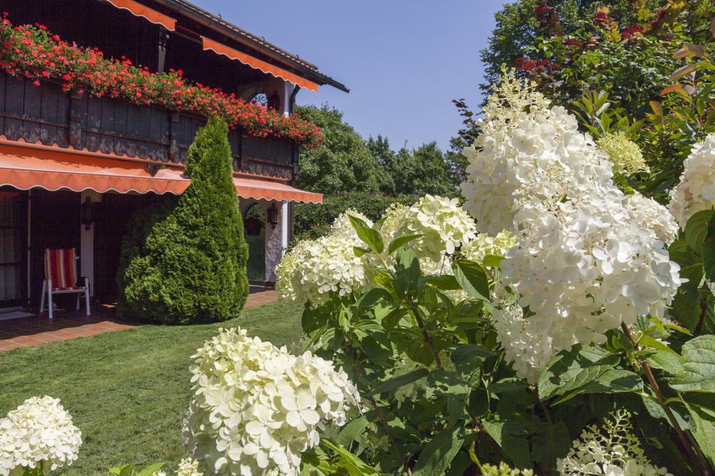 Hotel Alpina Hagnau am Bodensee Buitenkant foto